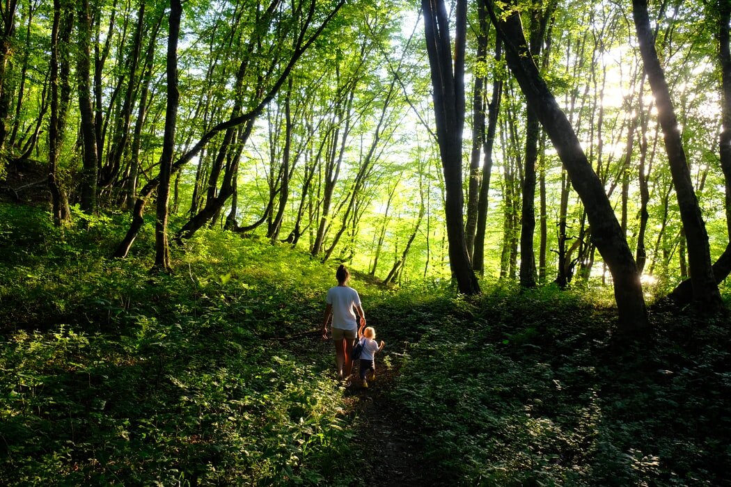 Nature is Healthcare