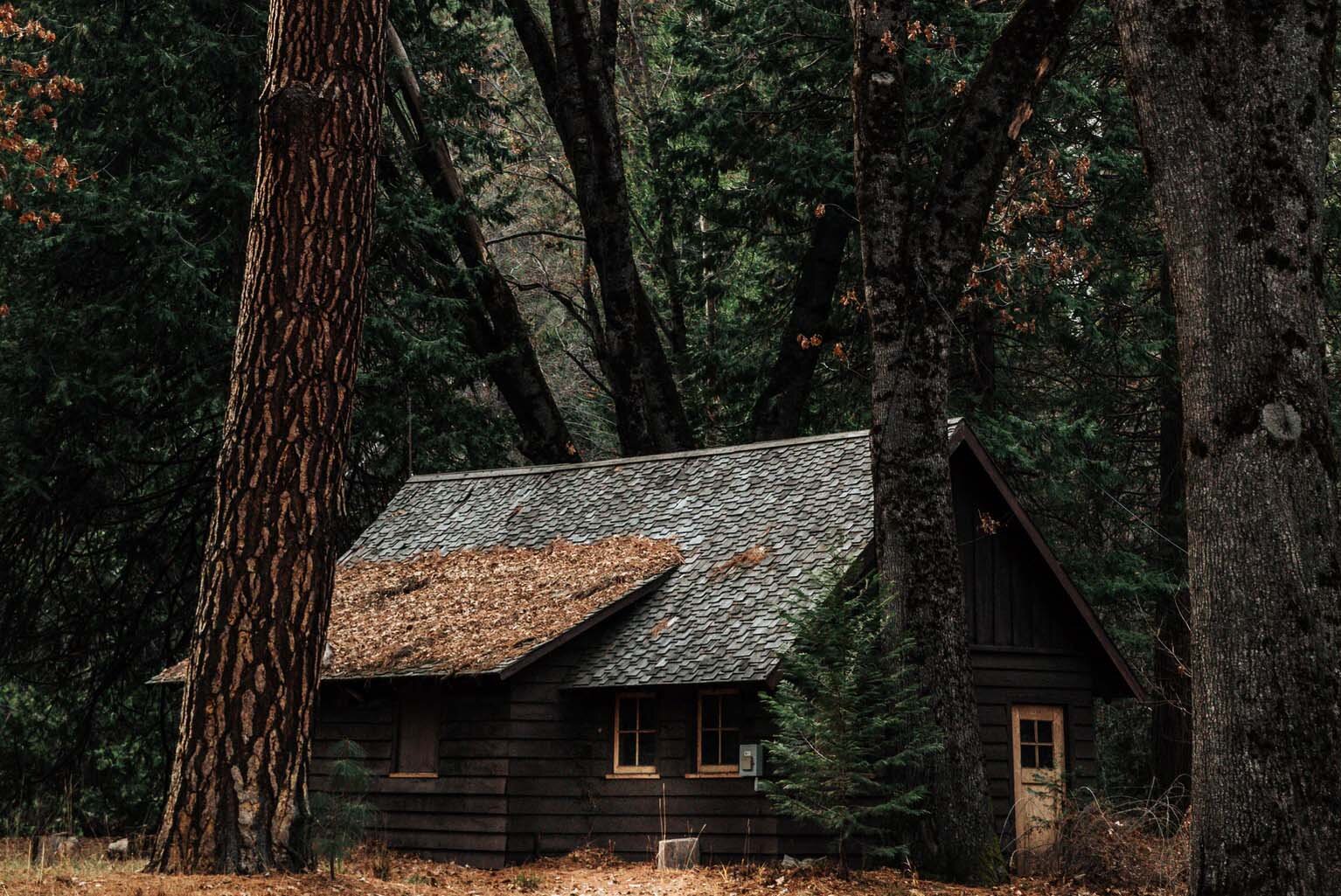 Symbiotic Living with Nature