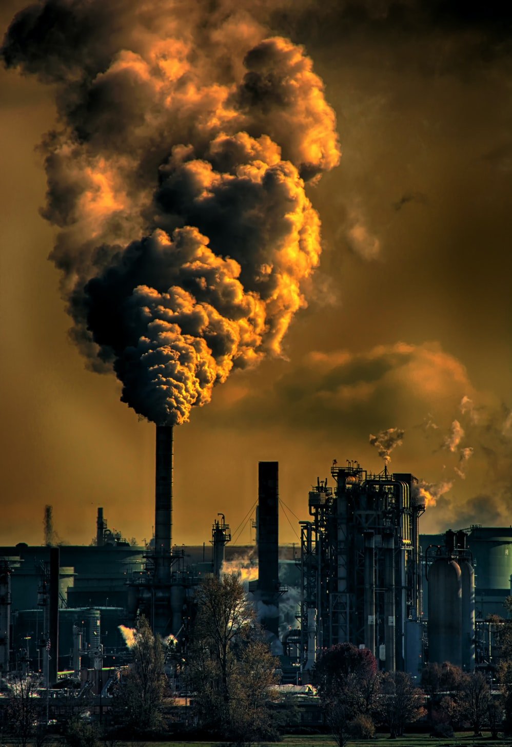 Depression as a Brain/Body Disease and its Links to Air Pollution