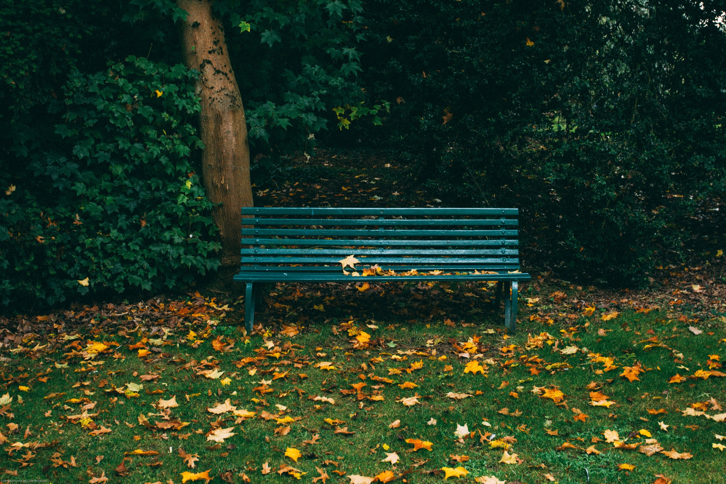 People, Cities, Nature, and Healing