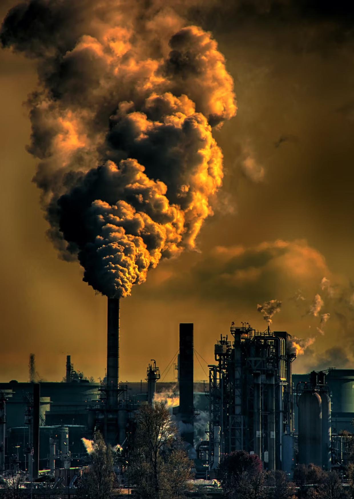 New Report: Depression as a Brain/Body Disease and its Links to Air Pollution