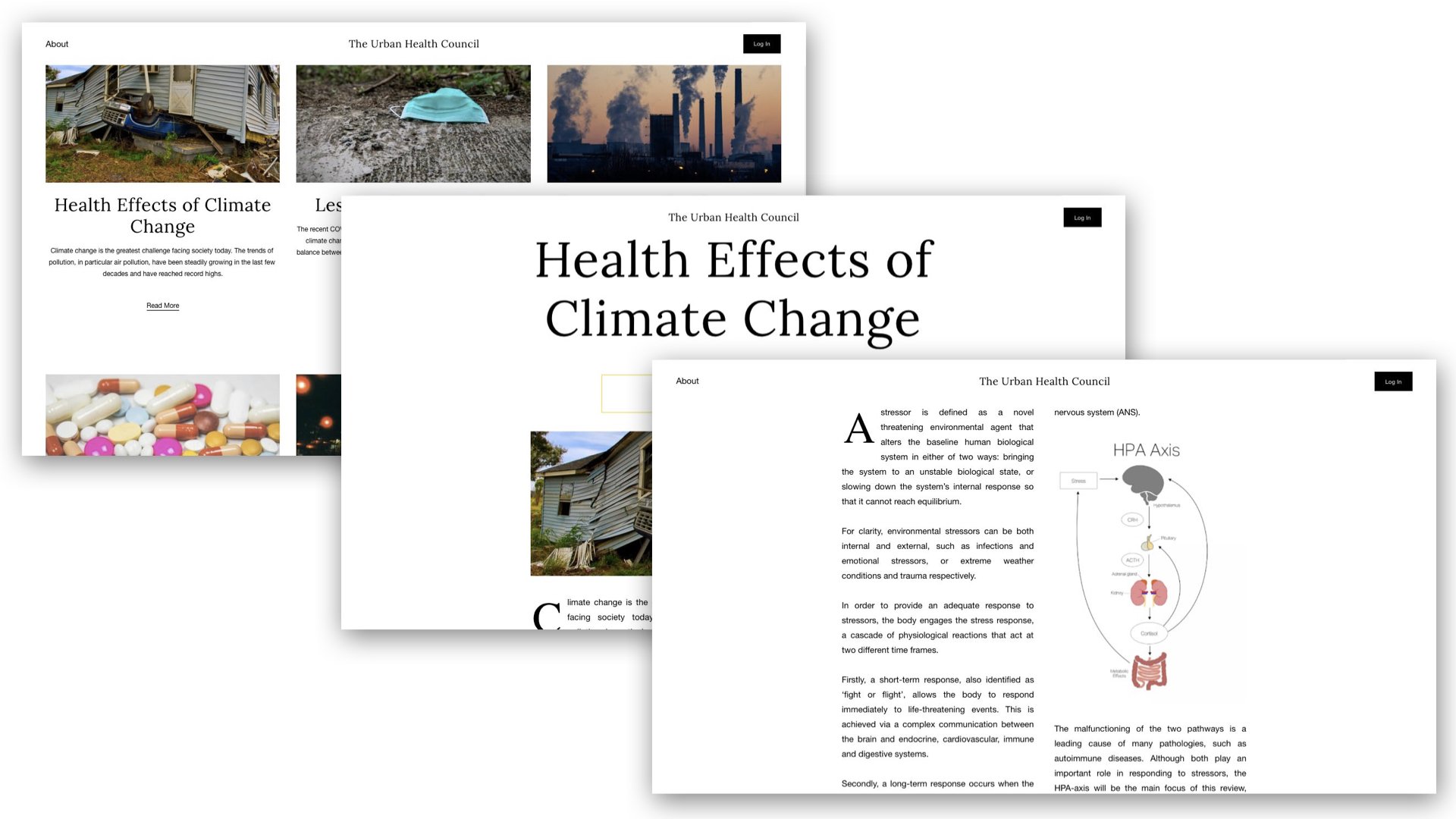 Updating the Health Lexicon